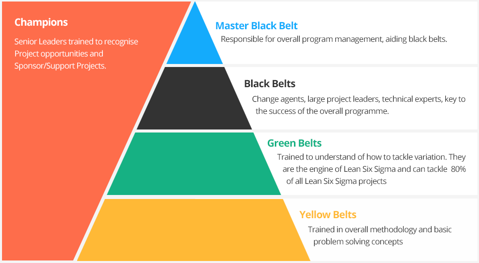 level of six sigma belts